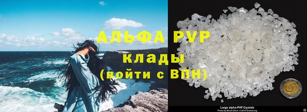 гашик Нефтекумск