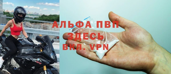 Альфа ПВП Новодвинск