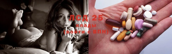 ПСИЛОЦИБИНОВЫЕ ГРИБЫ Нея