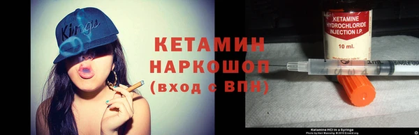 a pvp Новозыбков