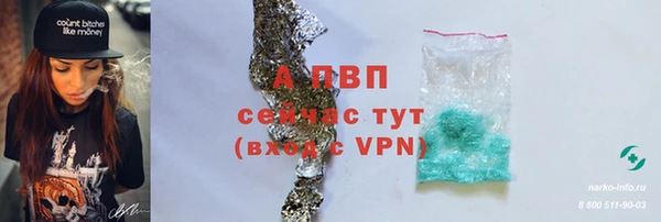 Альфа ПВП Новодвинск