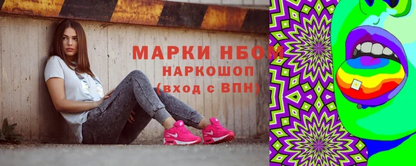 гашик Нефтекумск