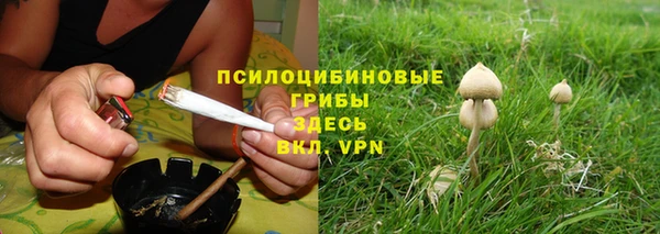 гашик Нефтекумск